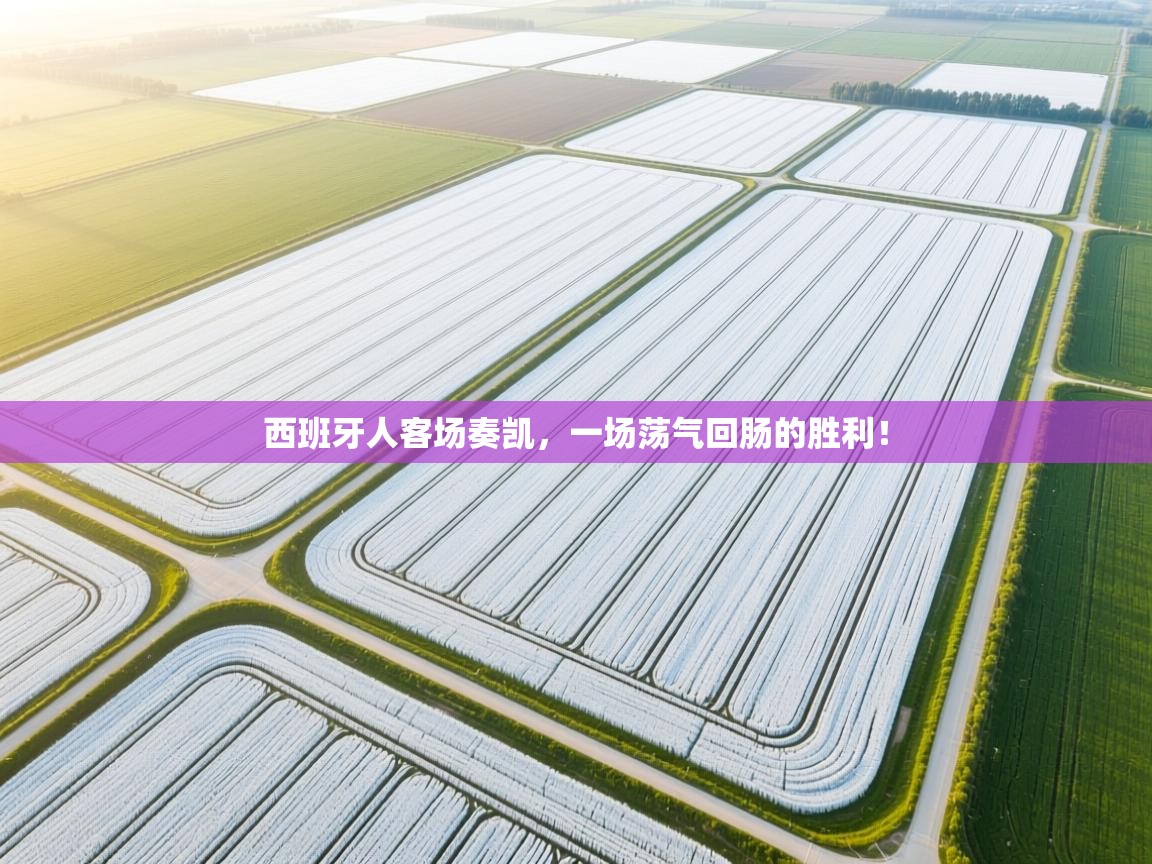 西班牙人客场奏凯，一场荡气回肠的胜利！  第2张